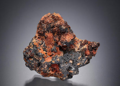 CC2311 specimen image