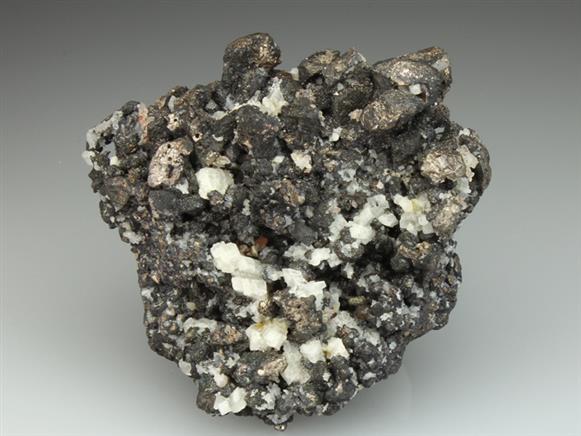 CC2312 specimen image