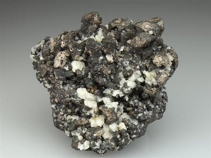 CC2312 specimen image