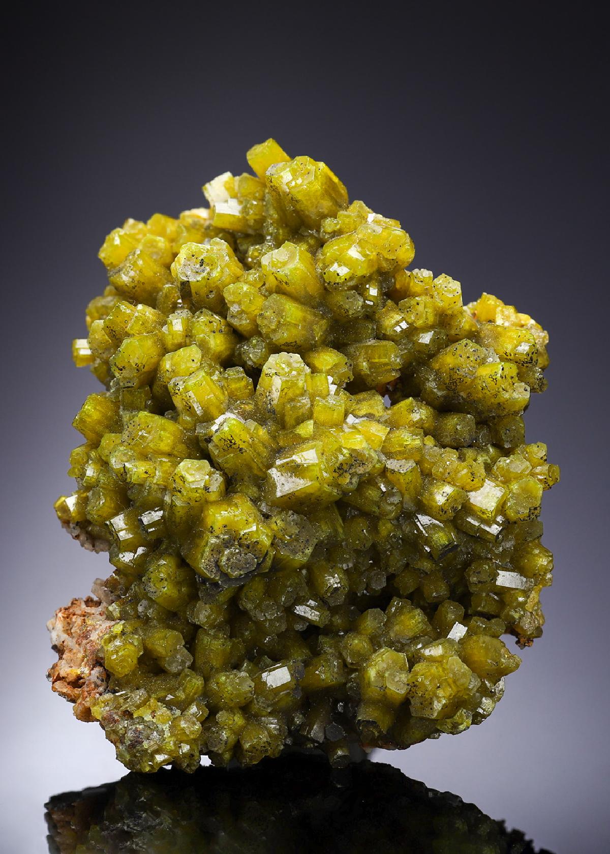CC2314 specimen image