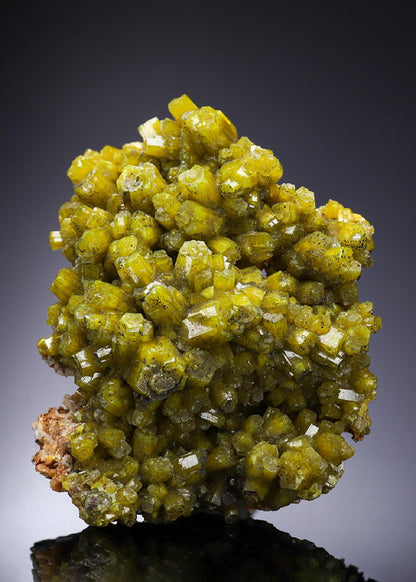 CC2314 specimen image