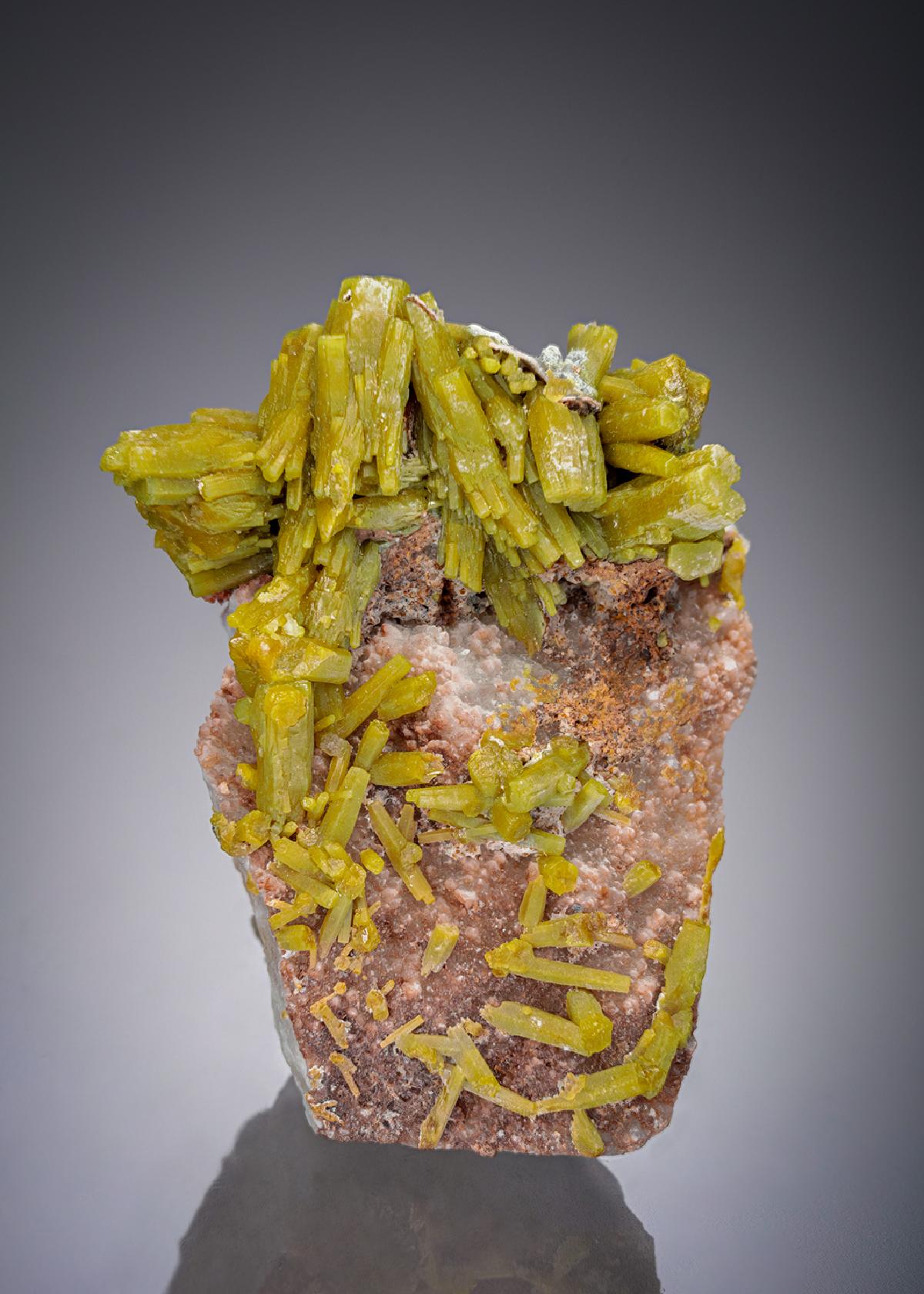 CC2315 specimen image