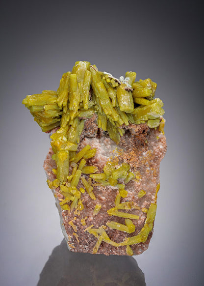 CC2315 specimen image