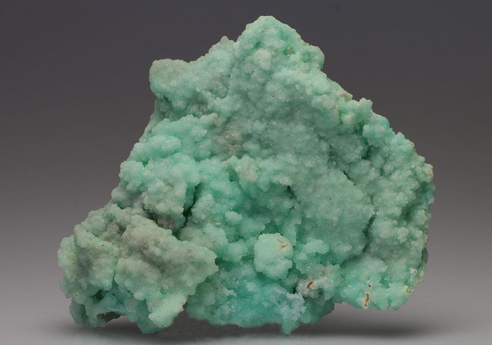 CC23307 specimen image