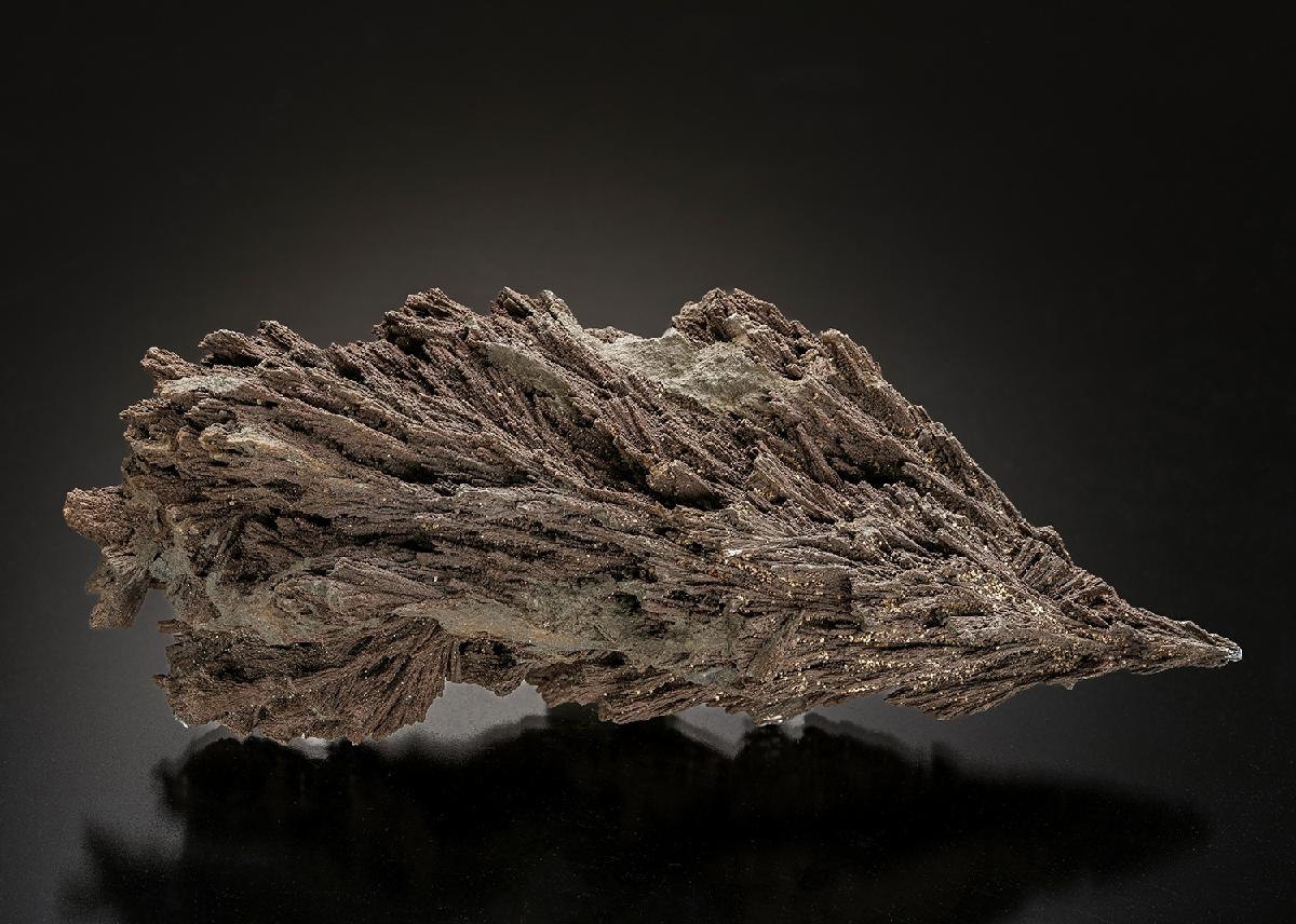 CC23316 specimen image