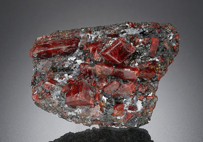 CC23329 specimen image