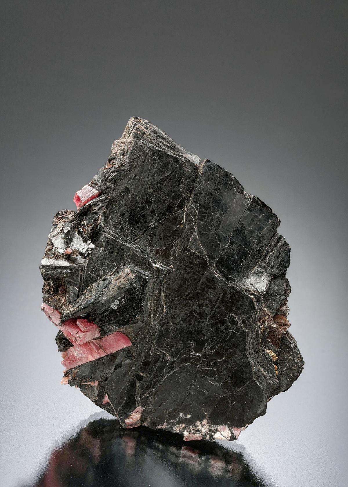 CC23425 specimen image