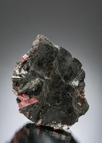 CC23425 specimen image
