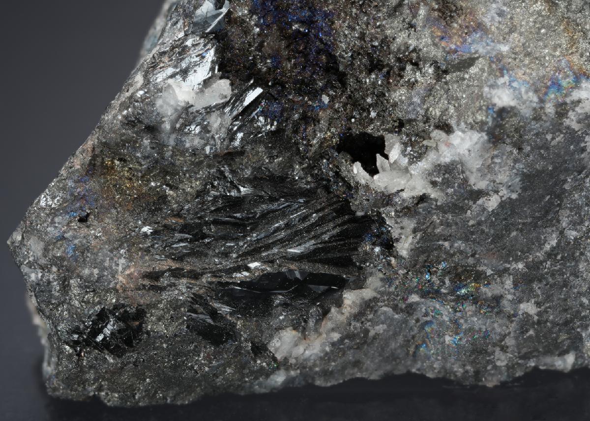 CC2348 specimen image
