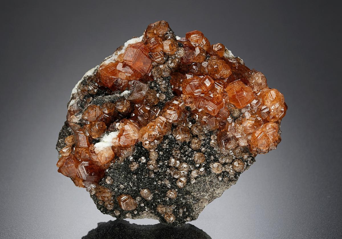 CC23610 specimen image
