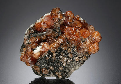 CC23610 specimen image