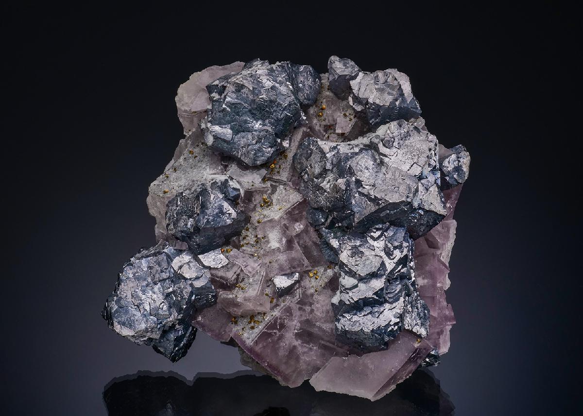 CC23624 specimen image