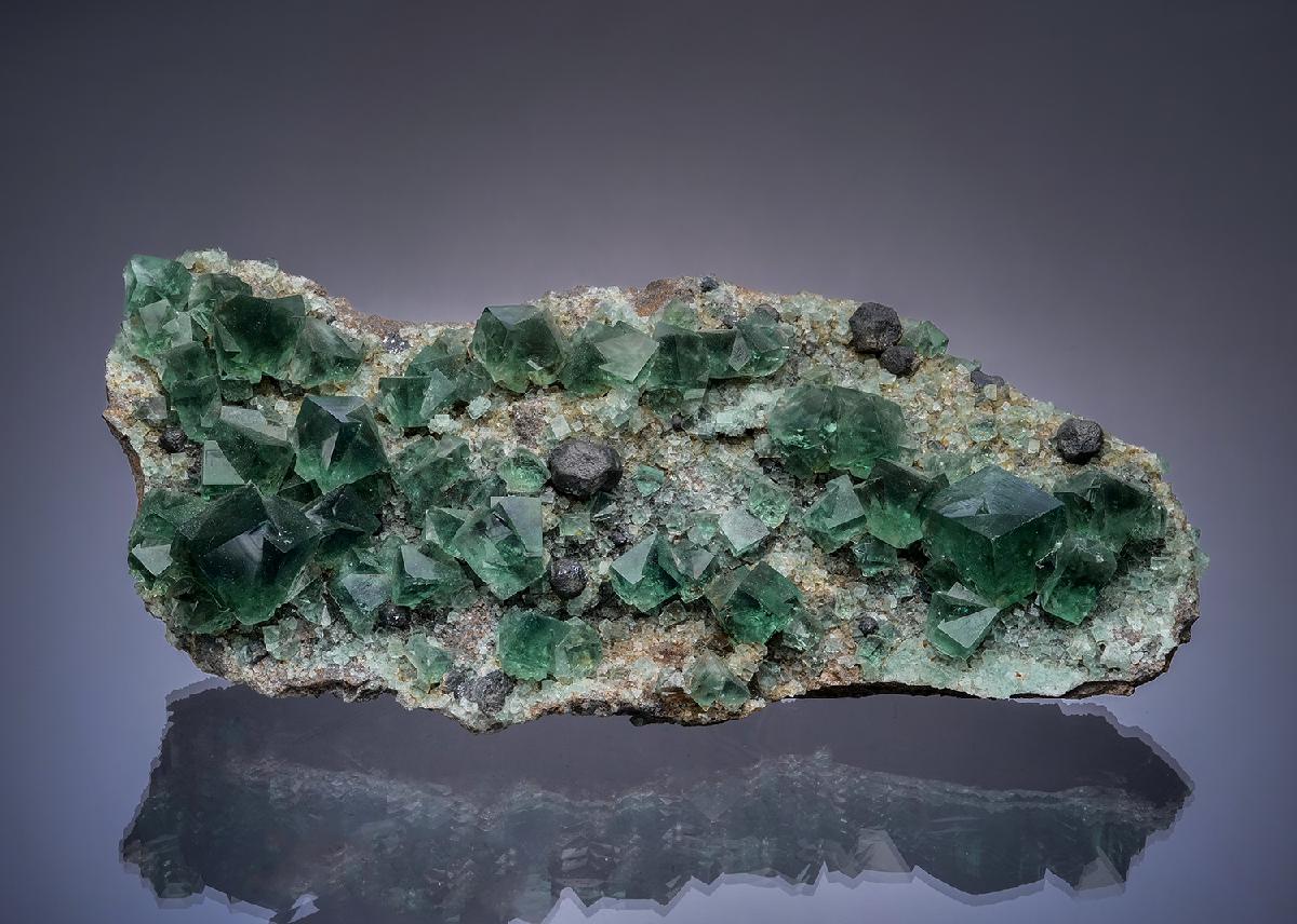CC23645 specimen image