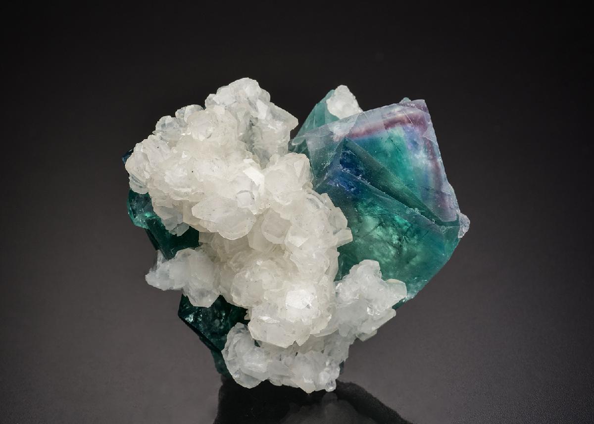 CC23660 specimen image