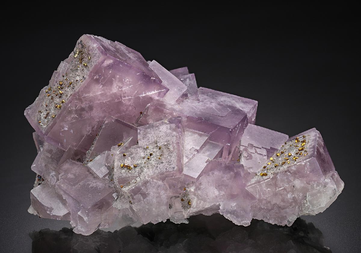 CC23661 specimen image