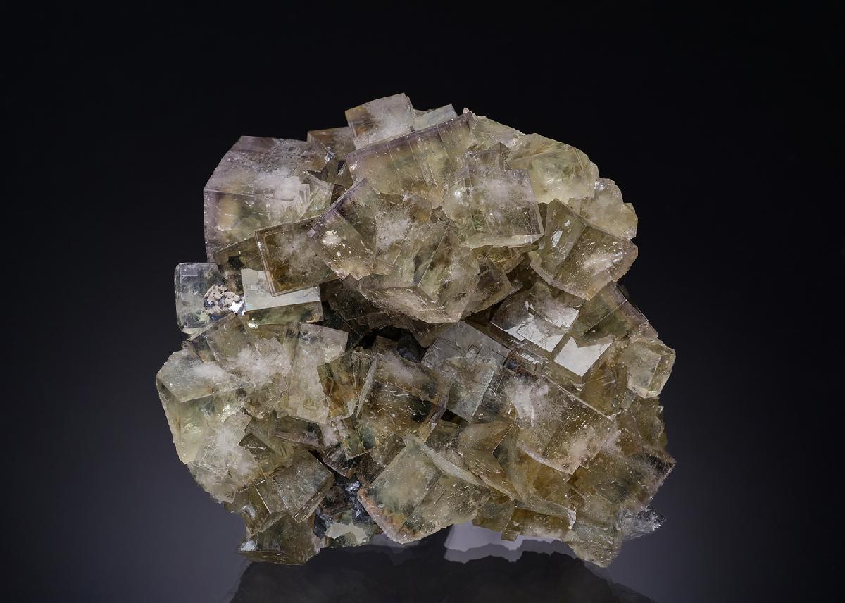 CC23663 specimen image