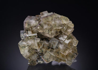 CC23663 specimen image