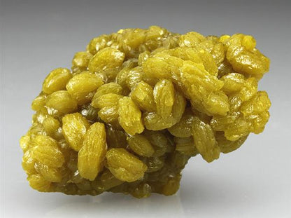 CC2402 specimen image