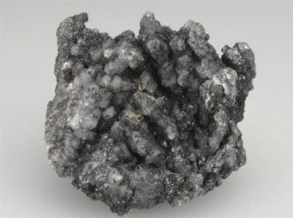 CC2410 specimen image