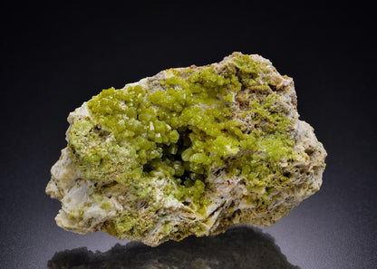 CC2421 specimen image