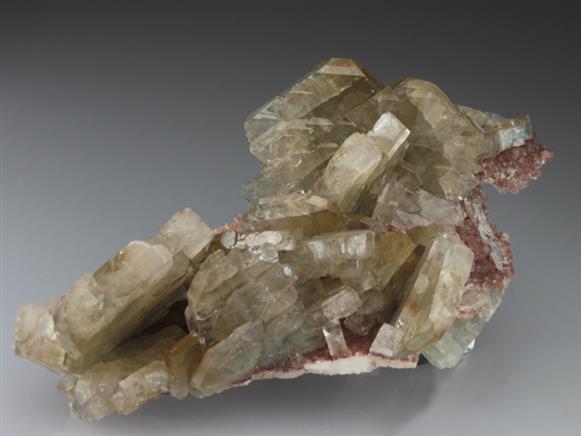 CC2423 specimen image