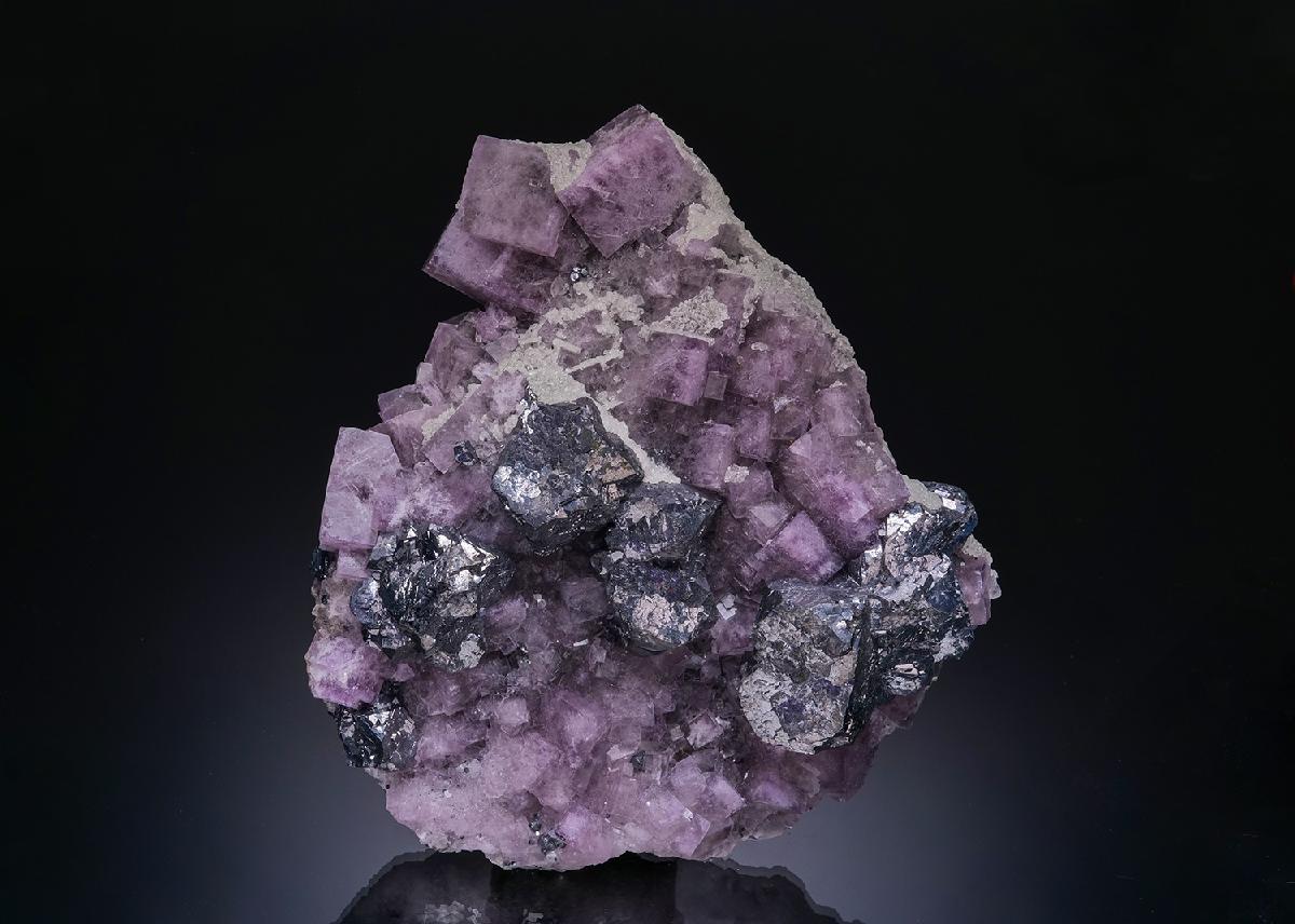 CC24325 specimen image