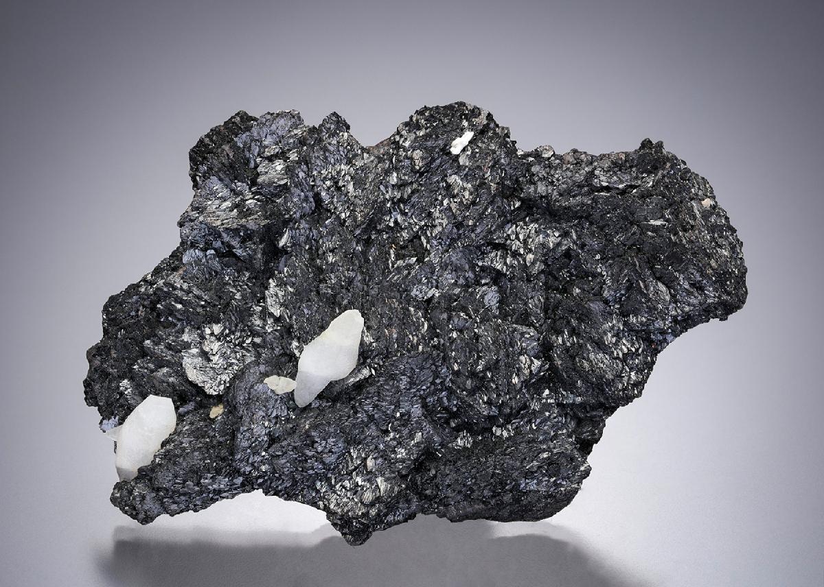 CC2434 specimen image