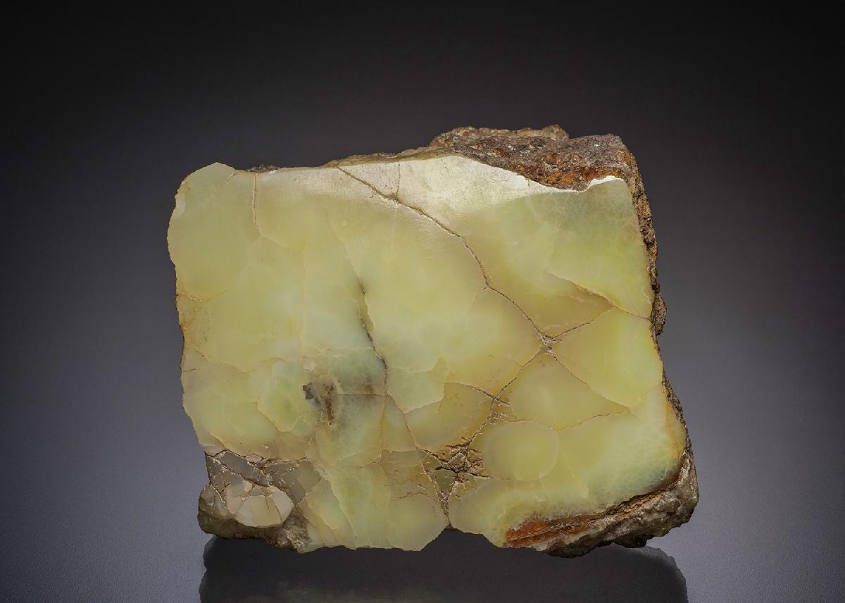 CC2440 specimen image