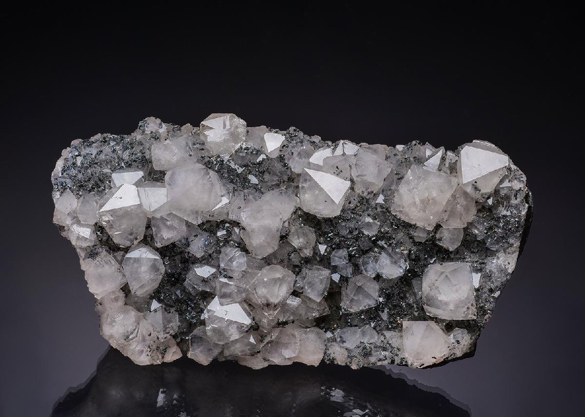 CC2450 specimen image