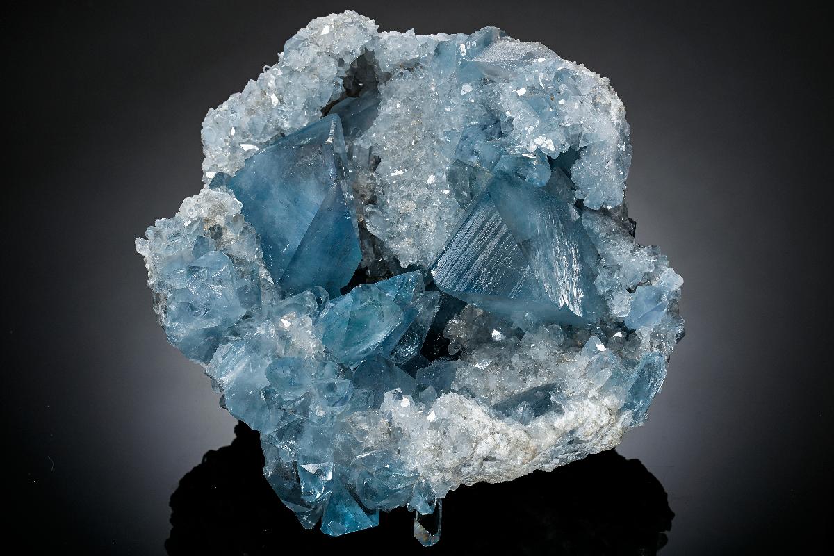 CC24651 specimen image