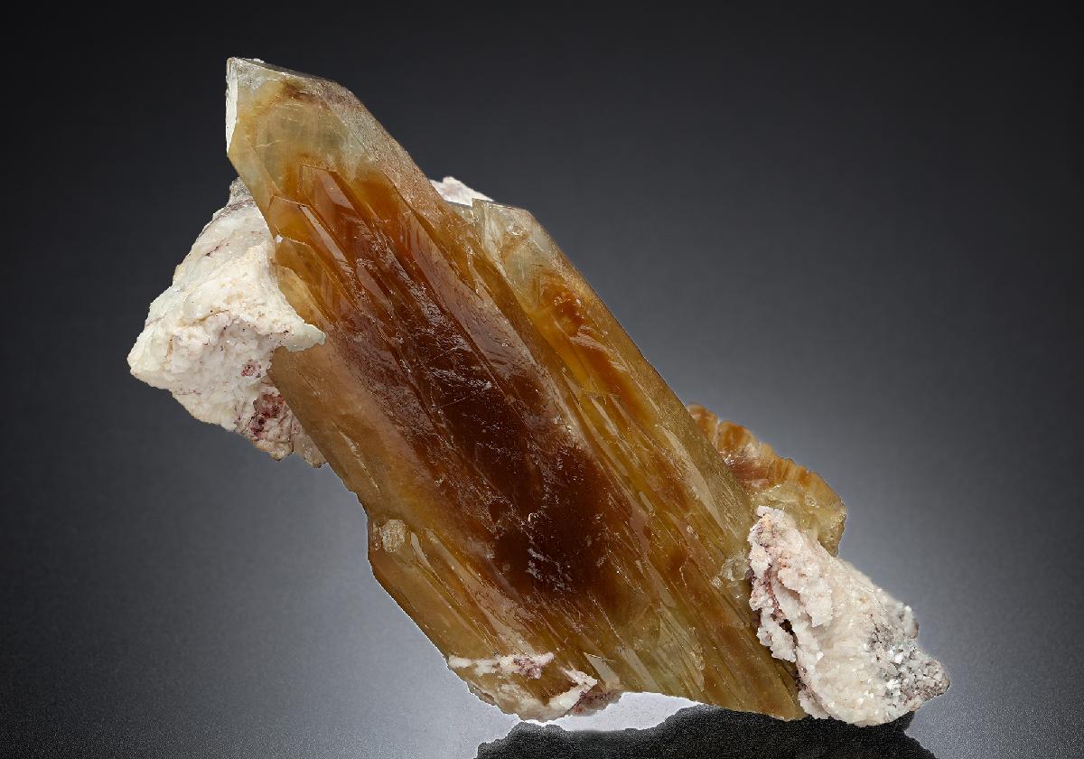CC24685 specimen image