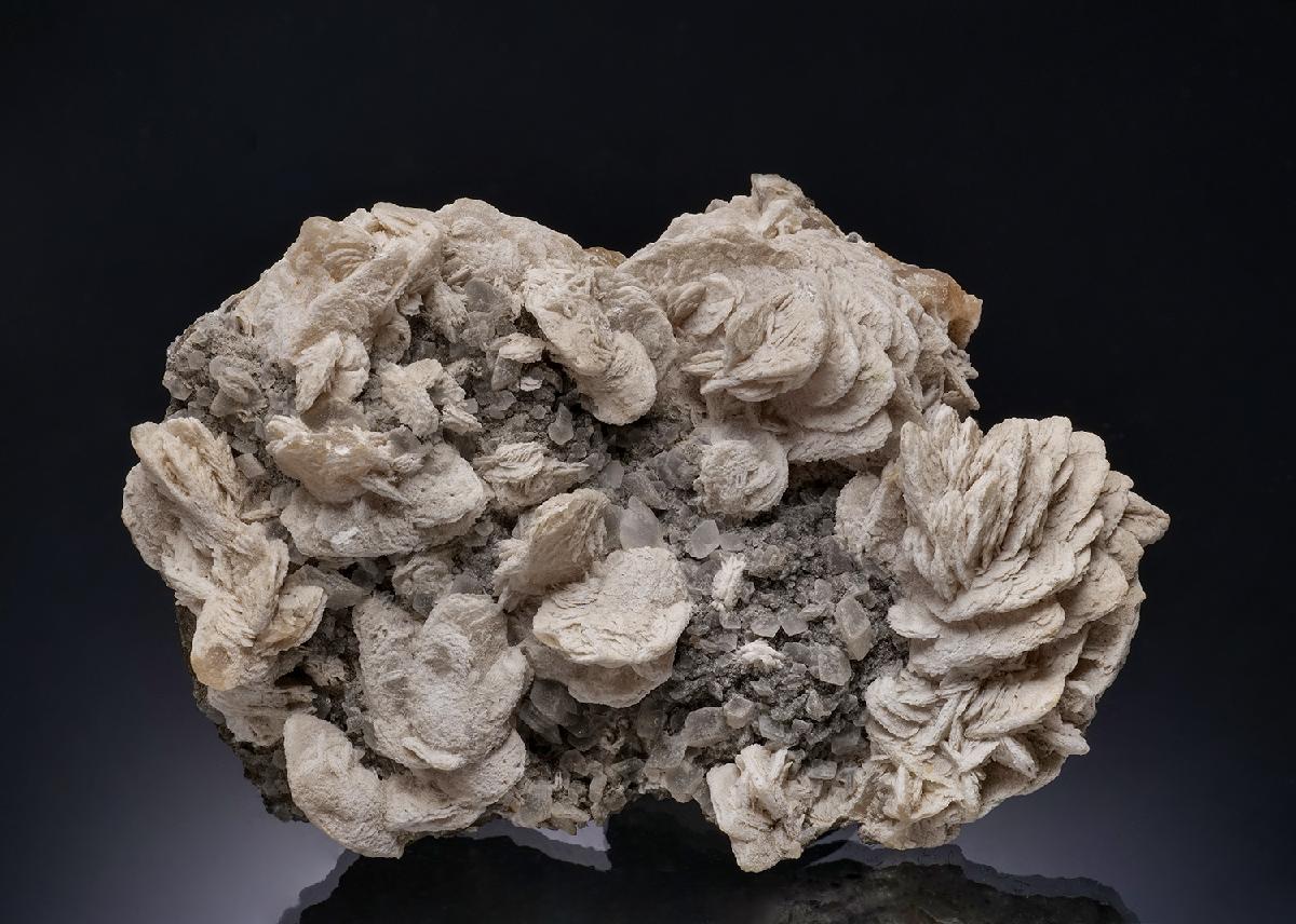 CC247 specimen image