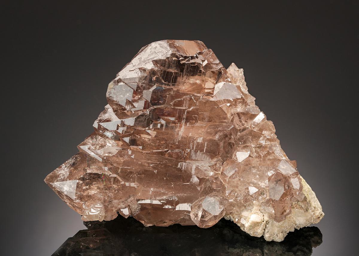 CC24810 specimen image