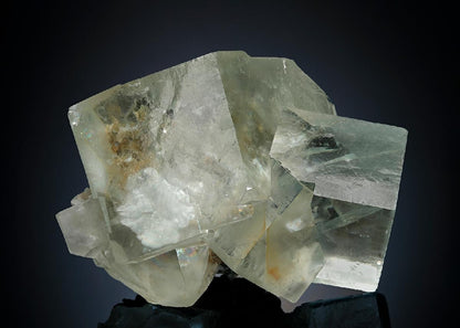 CC24824 specimen image