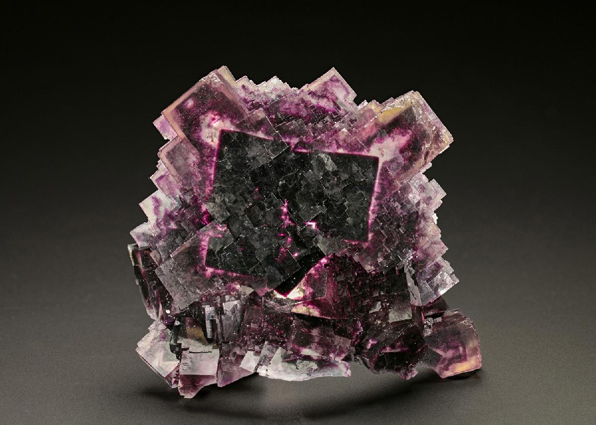 CC24837 specimen image