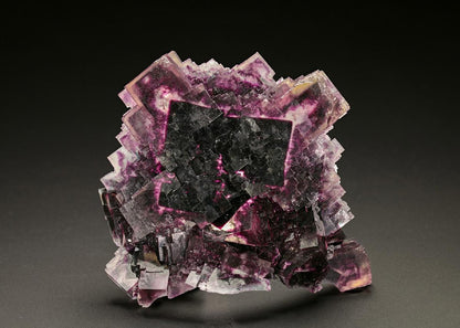 CC24837 specimen image