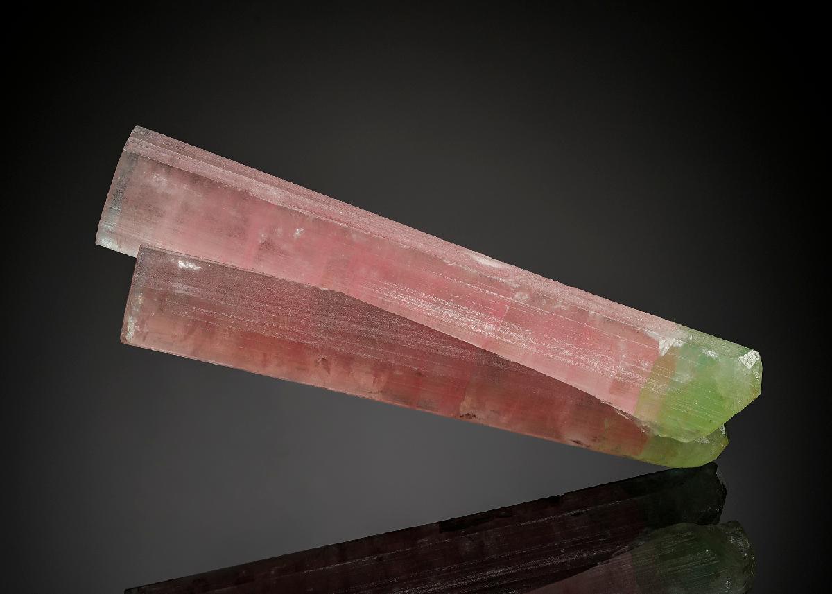 CC24854 specimen image