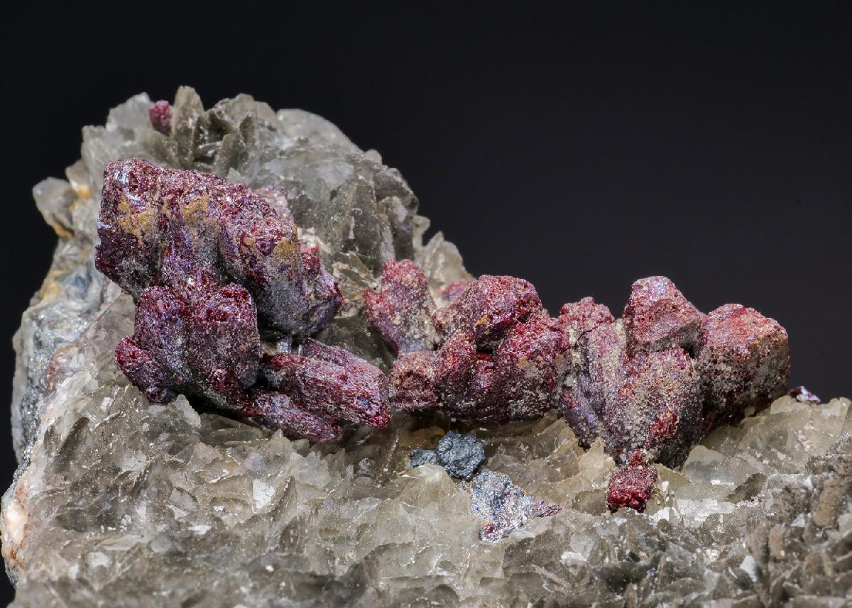 CC25094 specimen image