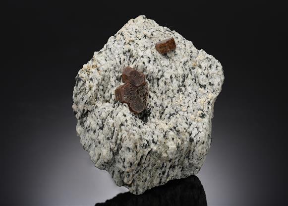 CC2514 specimen image