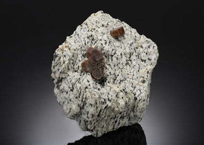 CC2514 specimen image