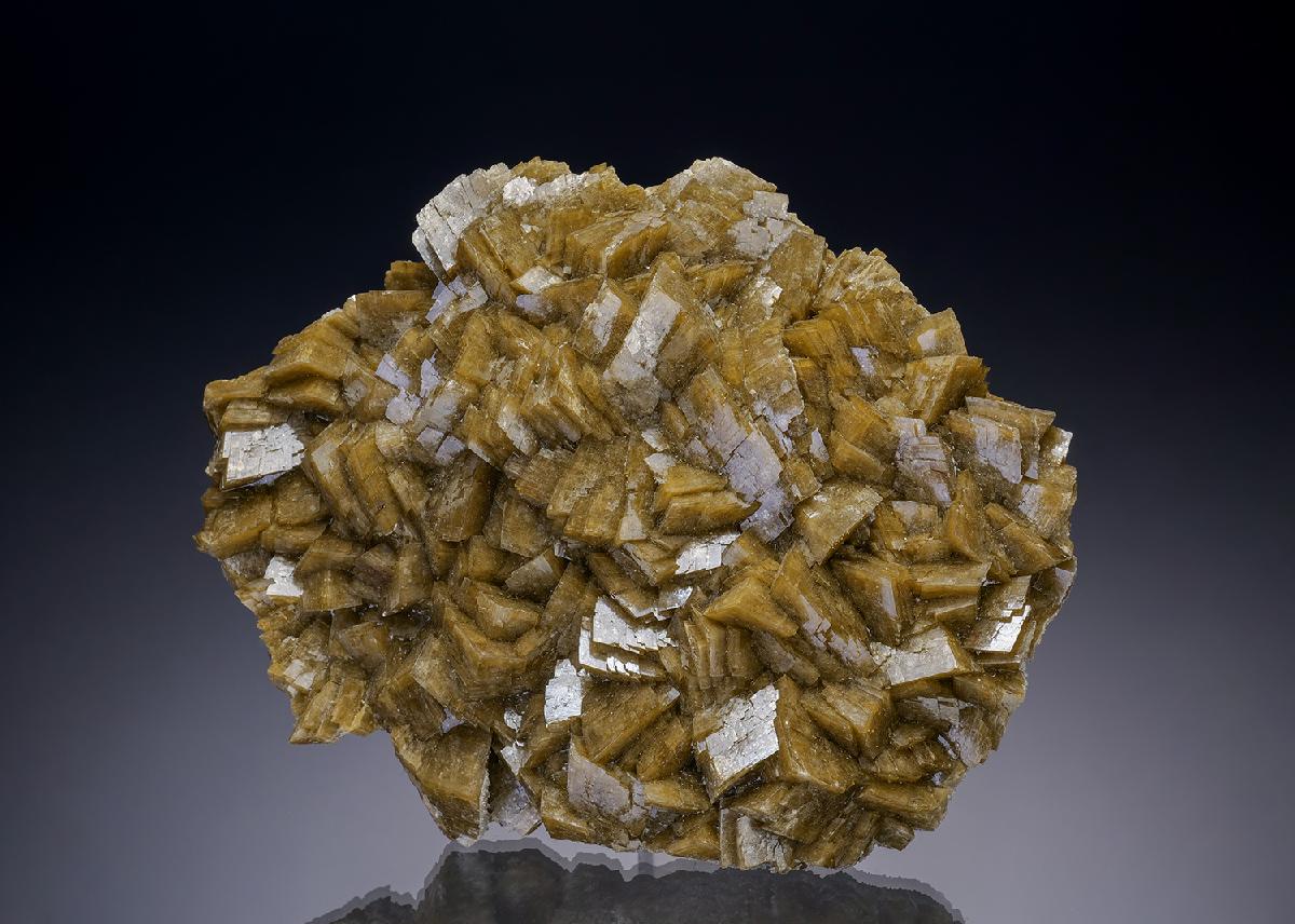 CC25212 specimen image