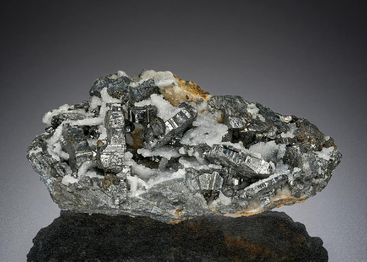 CC25615 specimen image