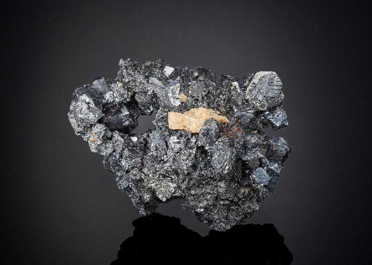 CC25630 specimen image