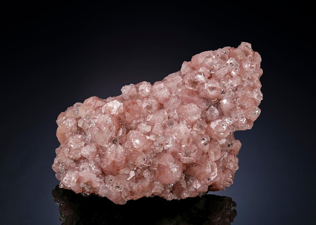 CC25644 specimen image