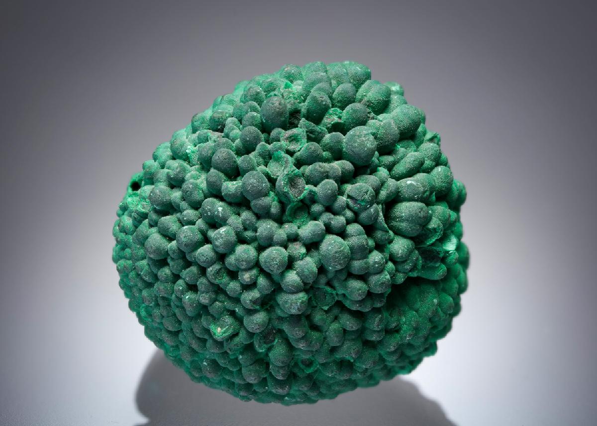 CC2566 specimen image