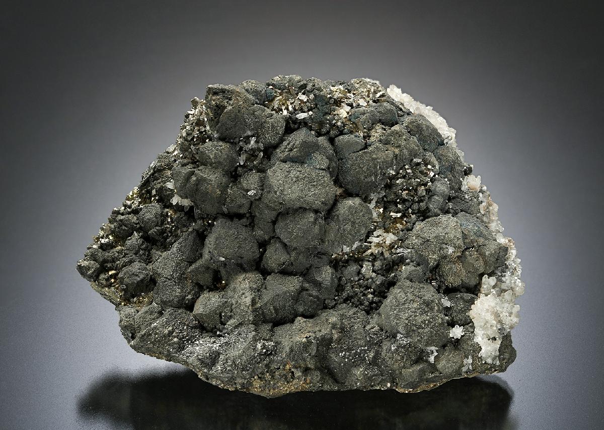CC25667 specimen image