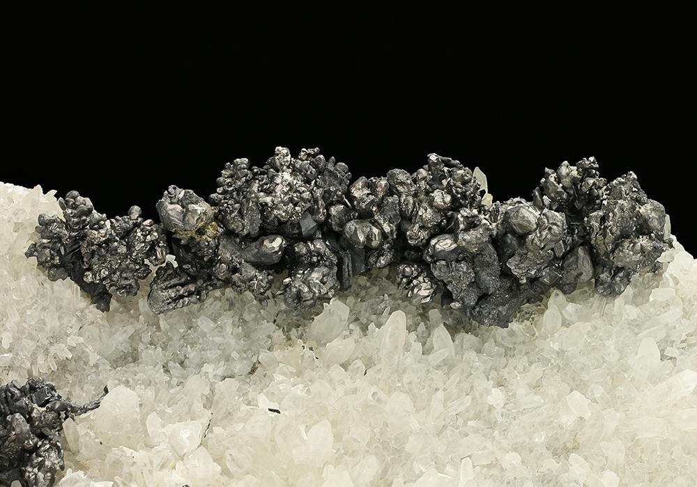 CC25673 specimen image