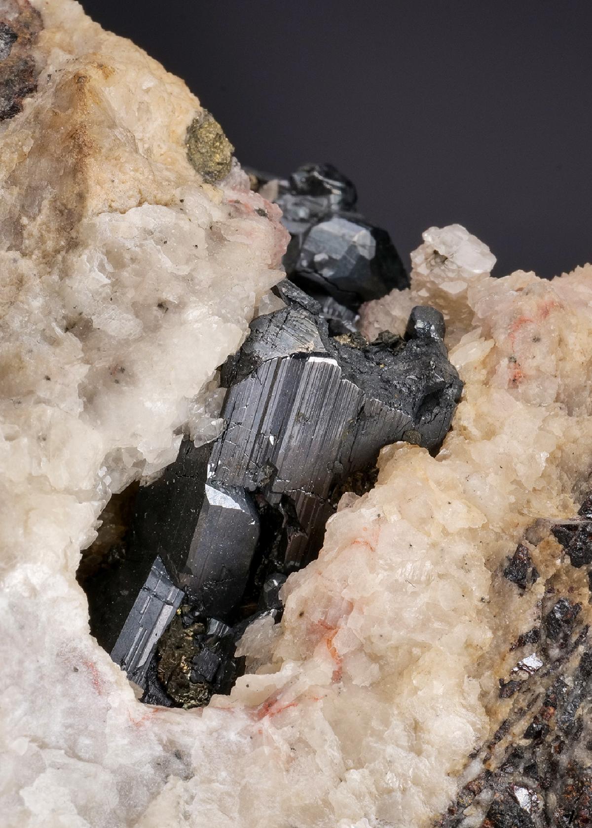 CC25680 specimen image