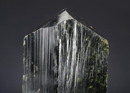 CC2574 specimen image