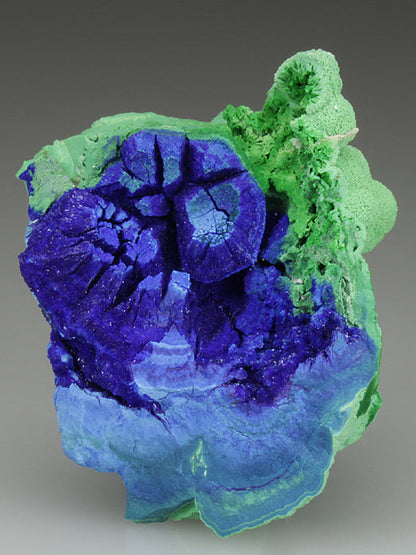 CC2580 specimen image